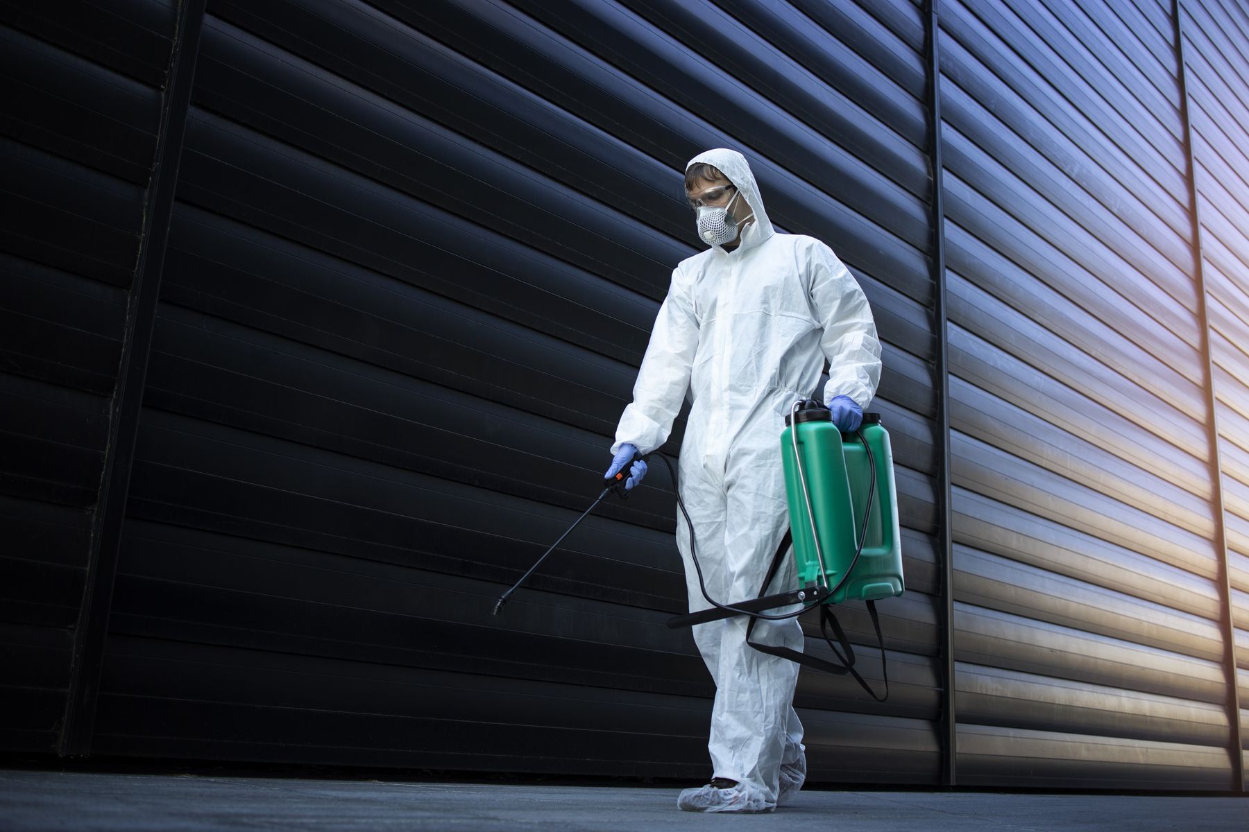 Professional pest control technician in protective gear