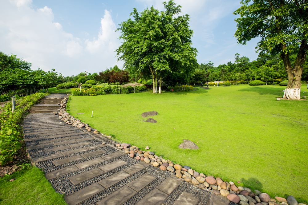 Landscaped garden with stone pathway